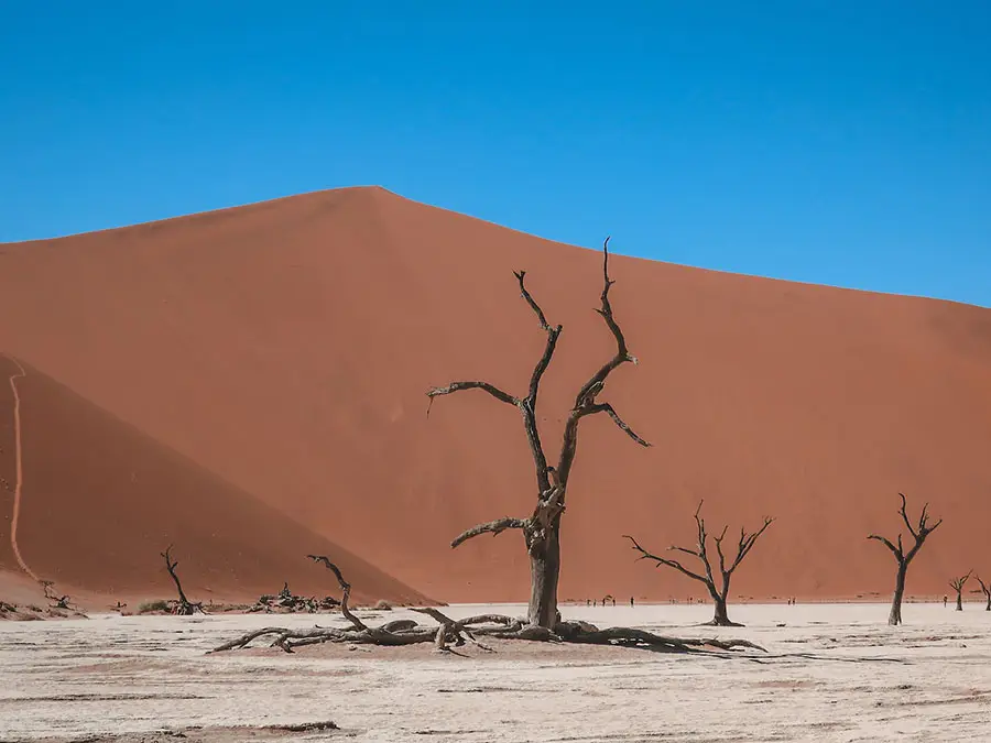 best countries to visit in Africa : Namibia