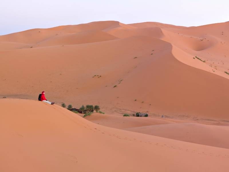 ouarzazate morocco sahara desert