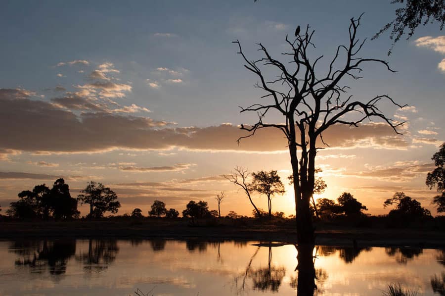best countries to visit in Africa :  Zimbabwe