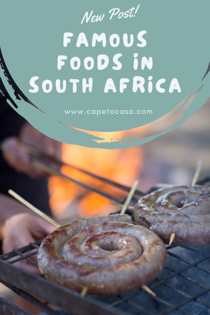 south african foods