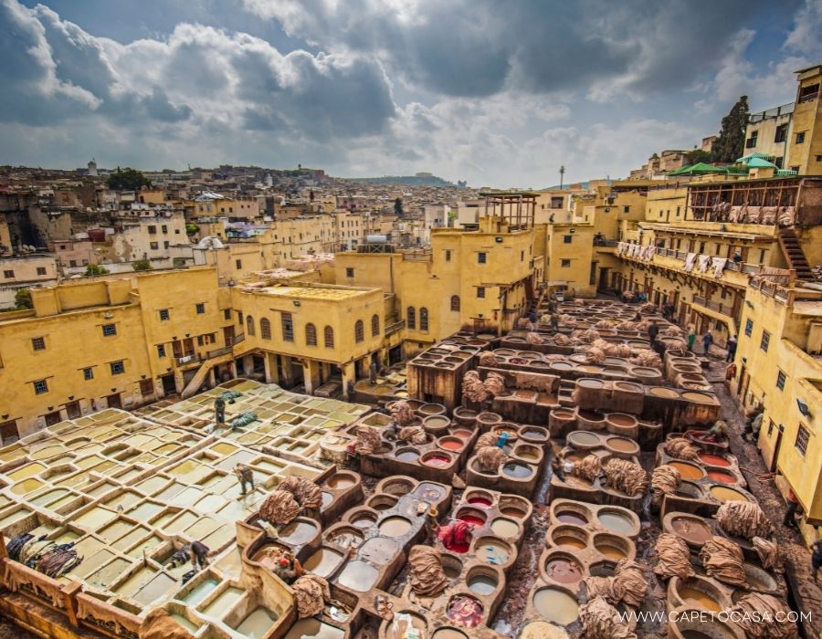 things-to-do-in-morocco-tanneries