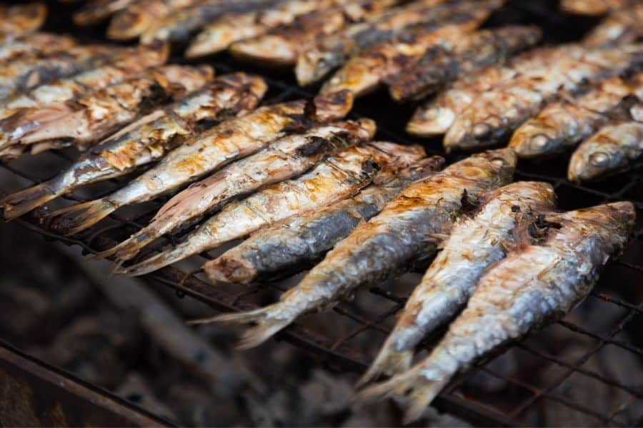 Morocco-food-grilled-sardines