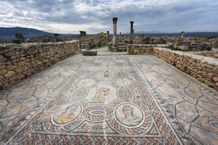 Volubilis mosaic floor morocco