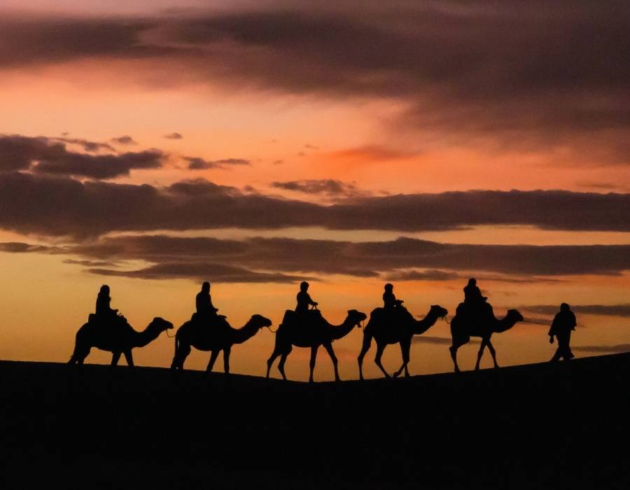 camel-trekking-tours-in-morocco