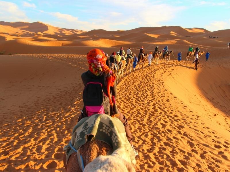 morocco sahara desert camel trekking