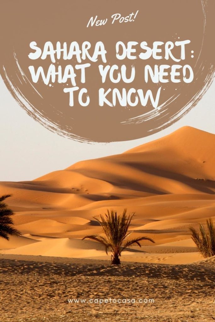 sahara desert what to expect