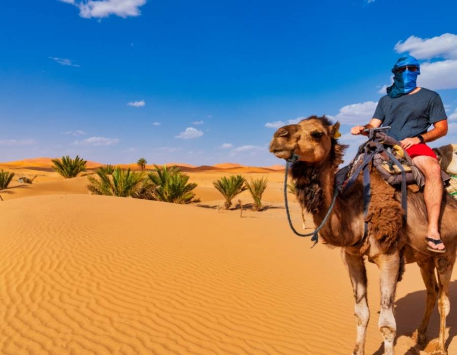 where-to-camel-trekking-in-morocco