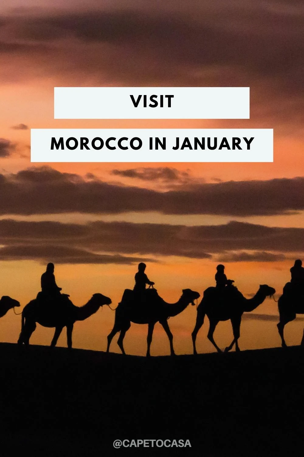 visit morocco in january